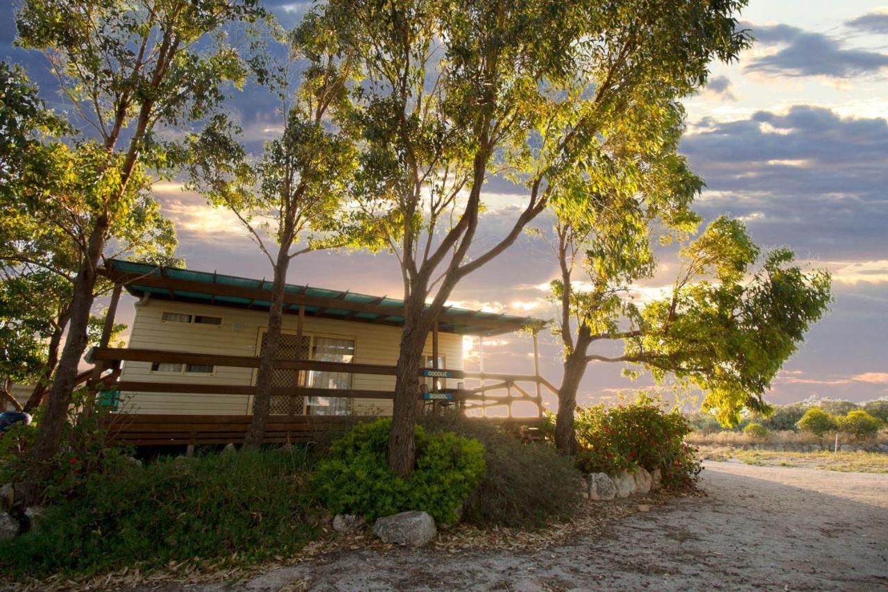 Coodlie Park Eco Retreat Villa Talia Dış mekan fotoğraf